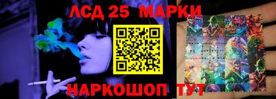 a pvp Камышлов