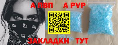 кокс Кингисепп
