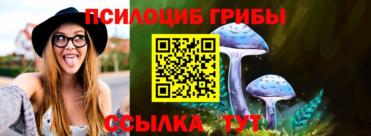 Кунгур  Галлюциногенные грибы Magic Shrooms  Вход с VPN 
